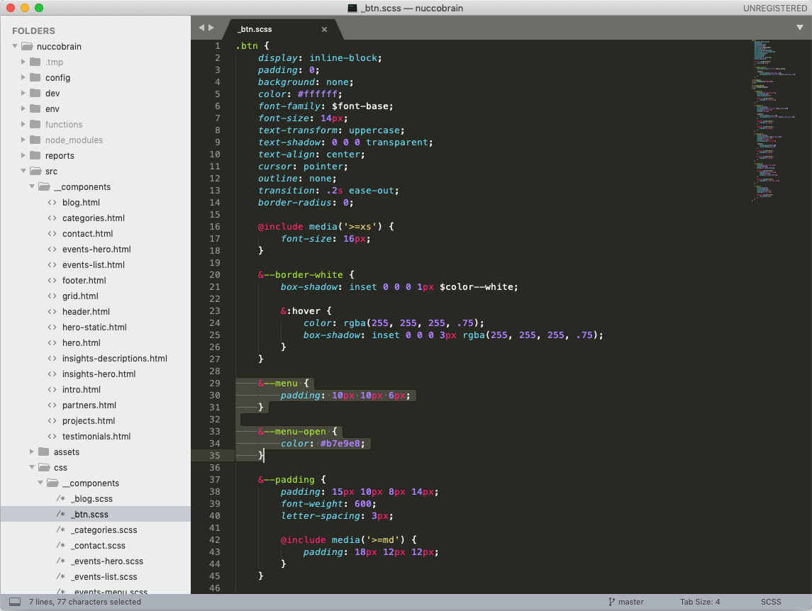 Web Development Code Editor Screenshot